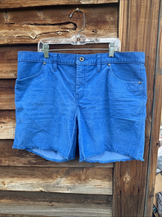 Carve Designs Pants - Carve designs shorts raw hem corduroy
